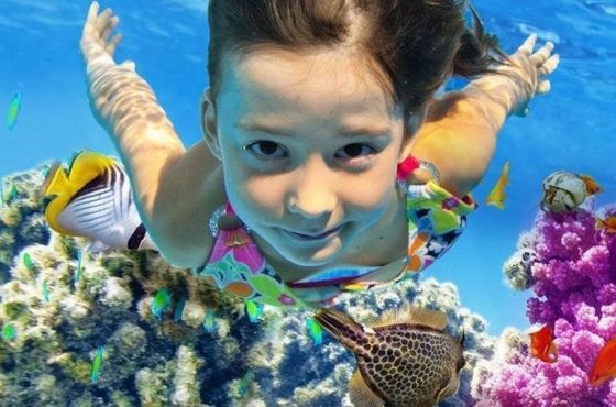رحلات شرم الشيخ والغردقة مع ST M Tourism: سحر البحر الأحمر وتجربة استثنائية